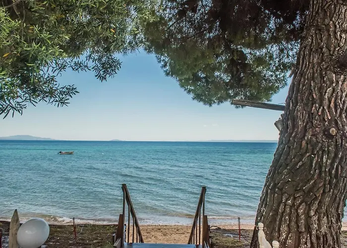 Citro By The Sea