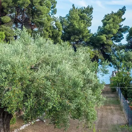 Citro By The Sea Pensión